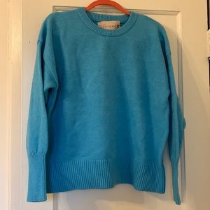 Philosophy Baby Blue Sweater